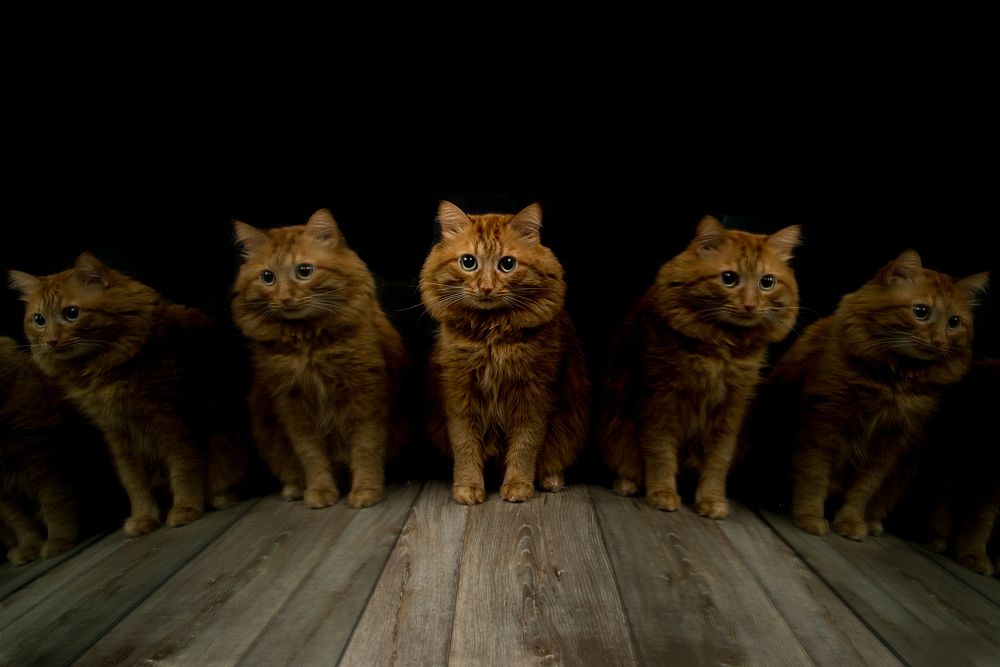 Photograph by Антон Плотников