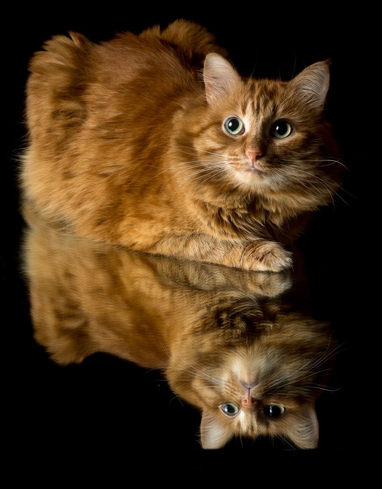 Photograph by Антон Плотников