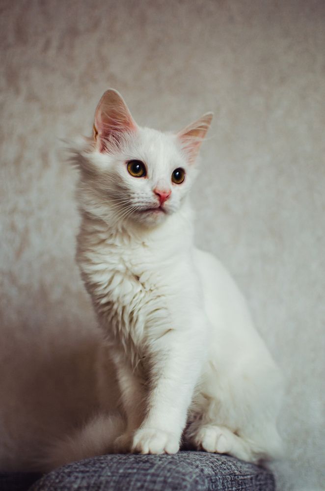 Photograph by Ксения Денисова