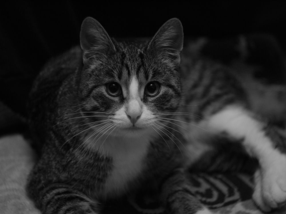 Photograph by Иван Скрипкин