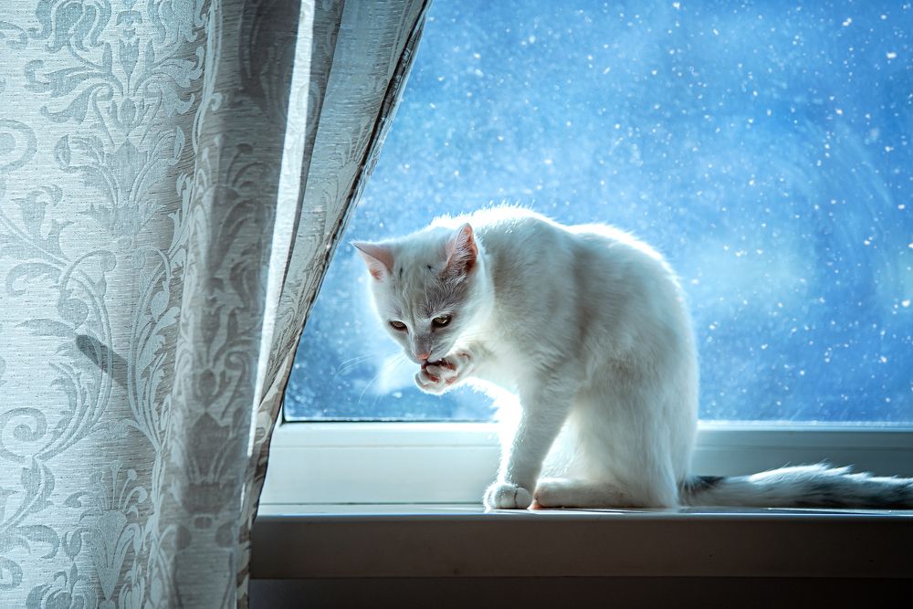 Photograph by Светлана Чижова