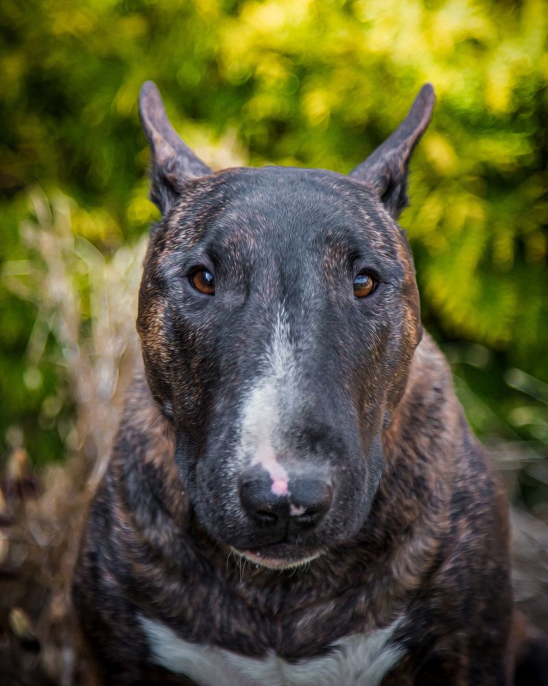 Photograph by Юлия Шматова