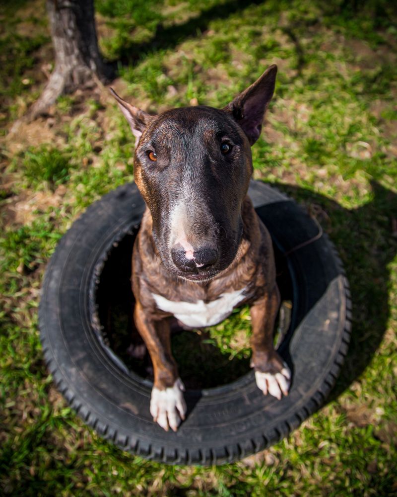 Photograph by Юлия Шматова