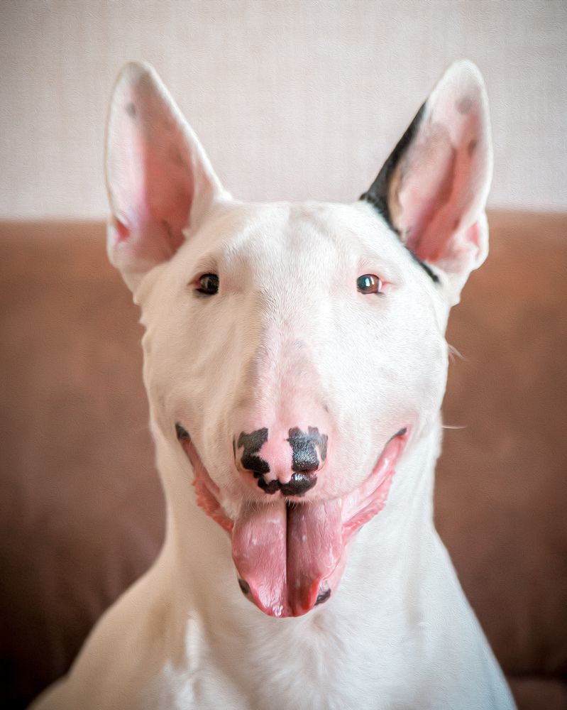 Photograph by Юлия Шматова