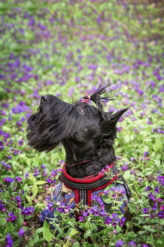 Photograph by Katja Sen