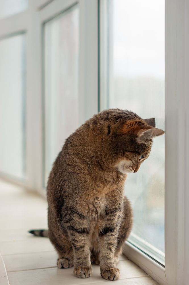 Photograph by Инна Соловей