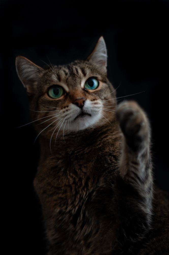 Photograph by Инна Соловей