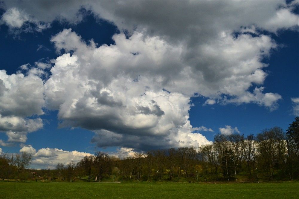 Photograph by Zdeňka Hudcová