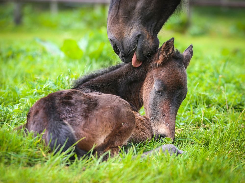 Фотография автора Nadina Ironia