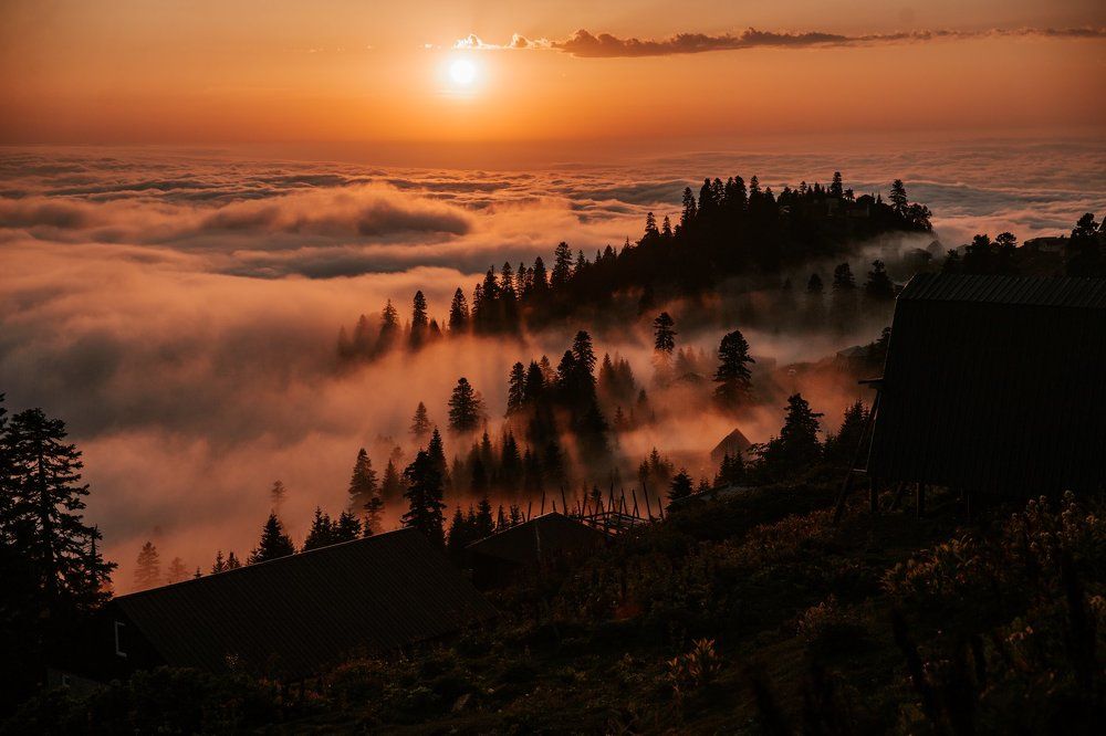 Photograph by Димитри Квирквелиа