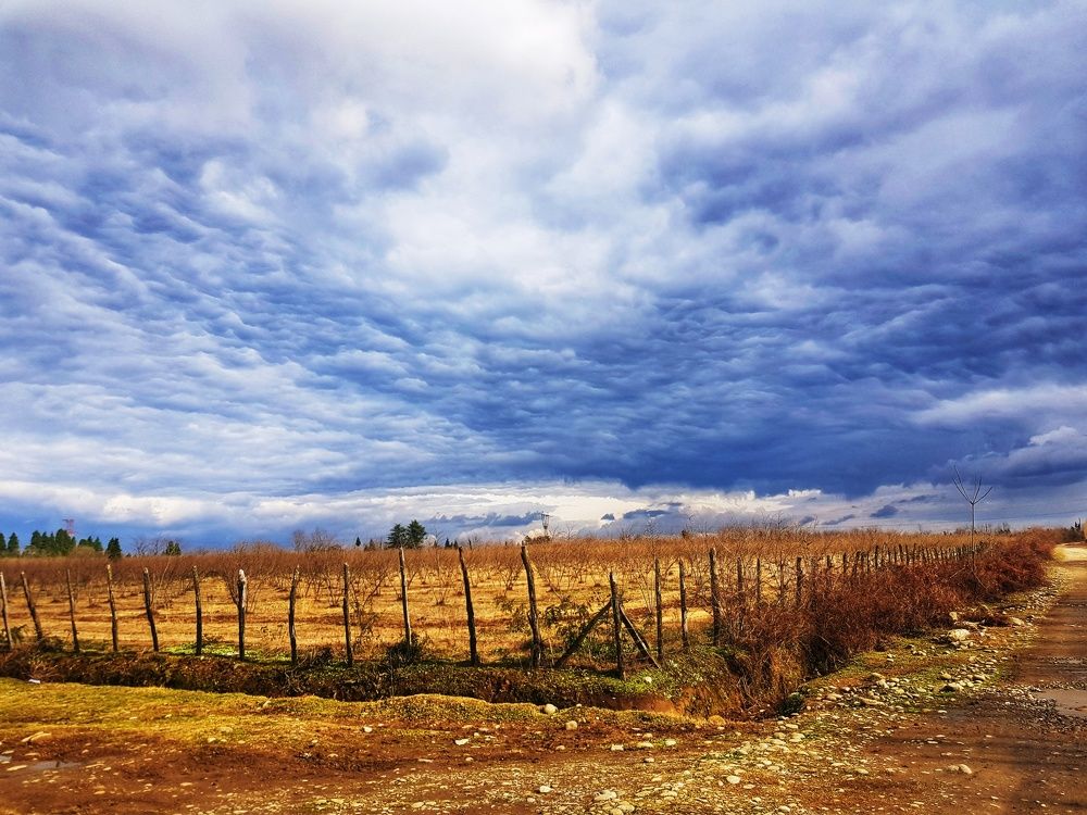 Фотография автора Nani Matua
