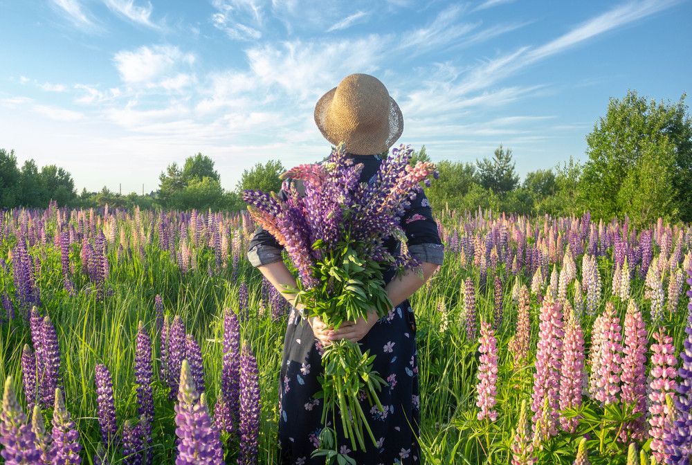 Photograph by Татьяна Подопрелова