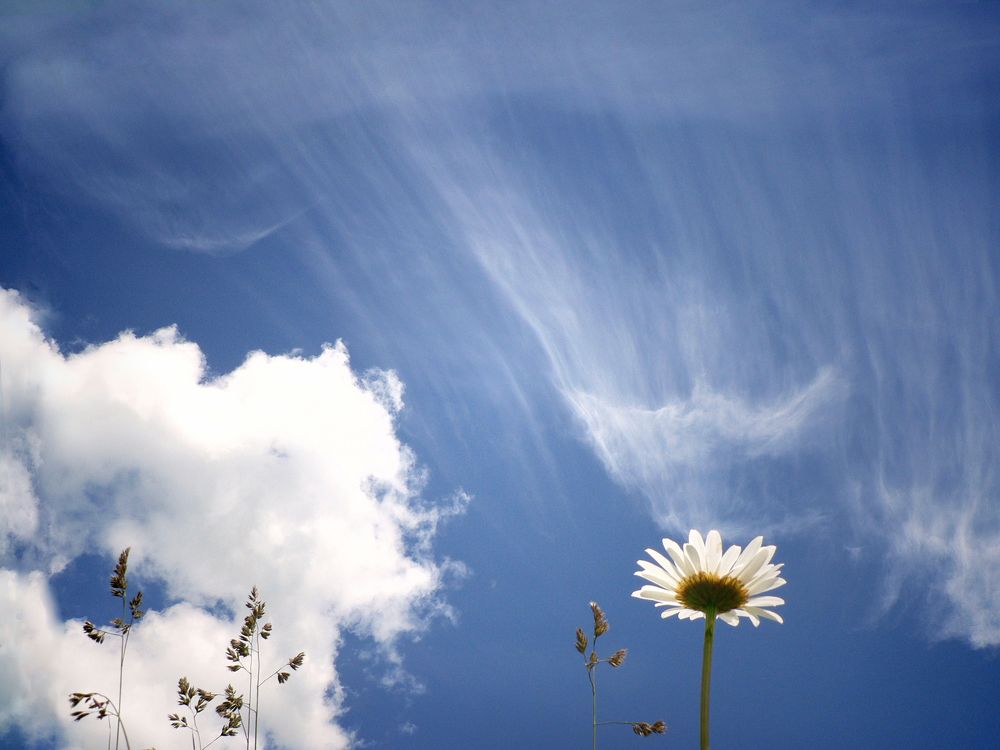 Photograph by Роман Микрюков