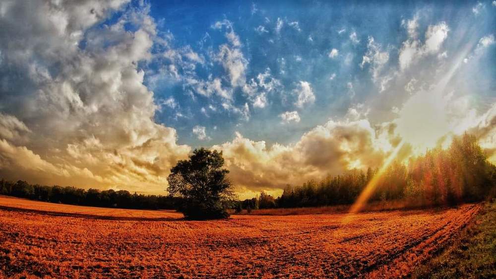 Photograph by Ольга Линк