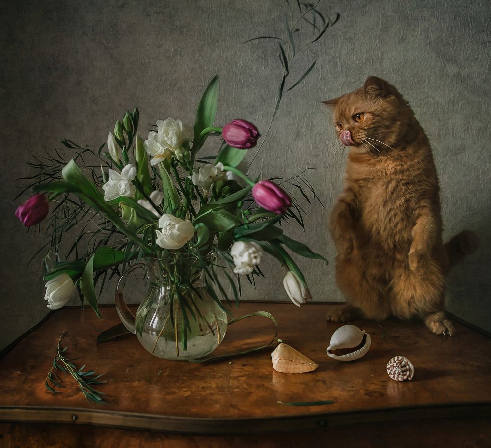 Photograph by Анна Петина