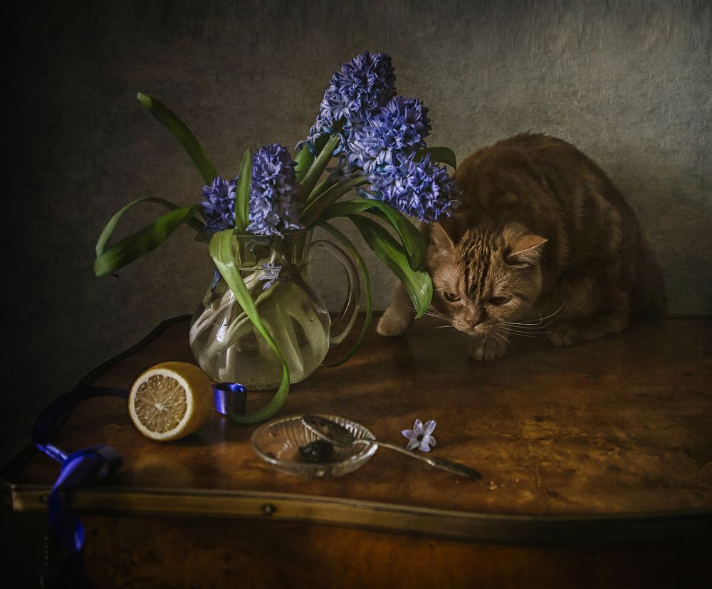 Photograph by Анна Петина