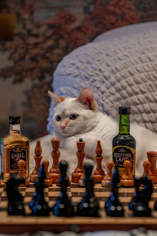 Photograph by Юлия Полянцева