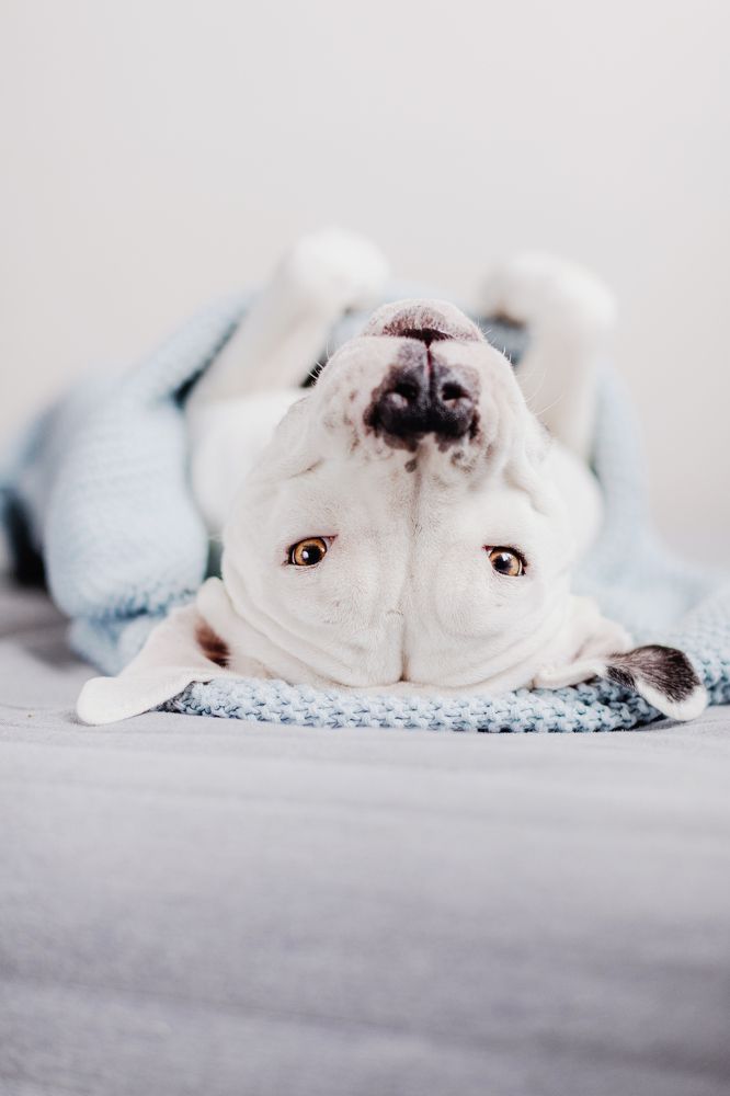 Photograph by Елена Левина