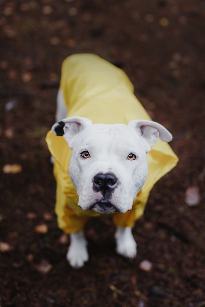 Photograph by Елена Левина