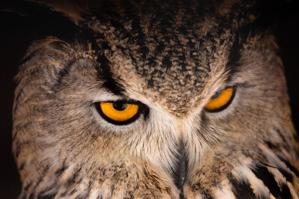 Взгляд в глубину