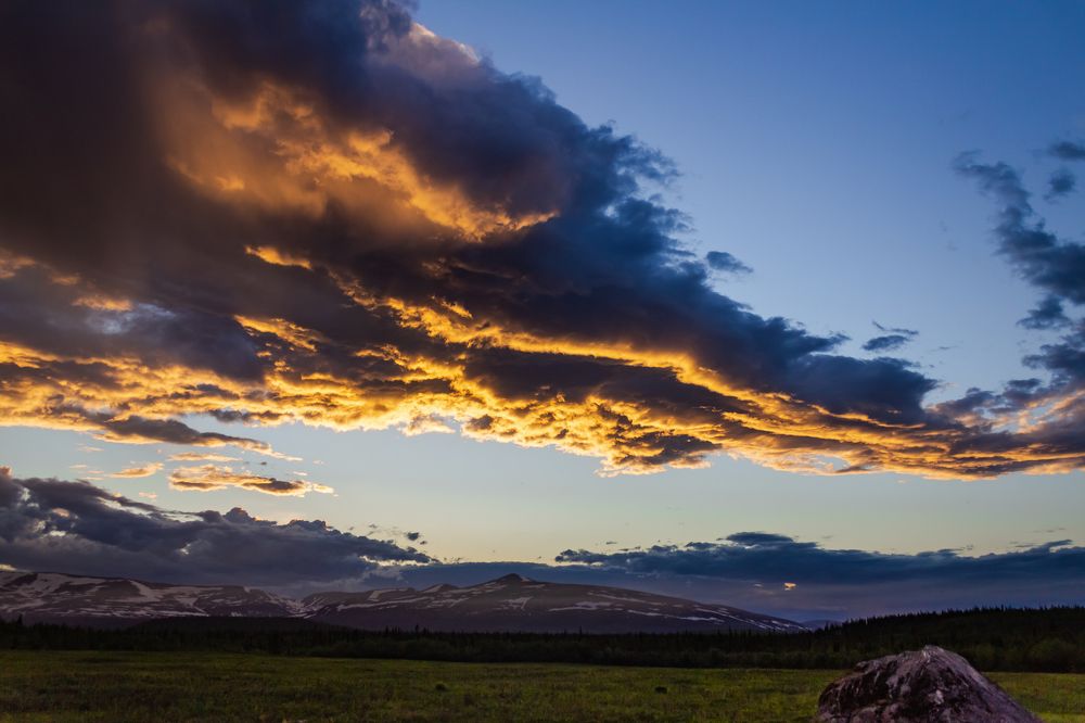 День летнего солнцестояния