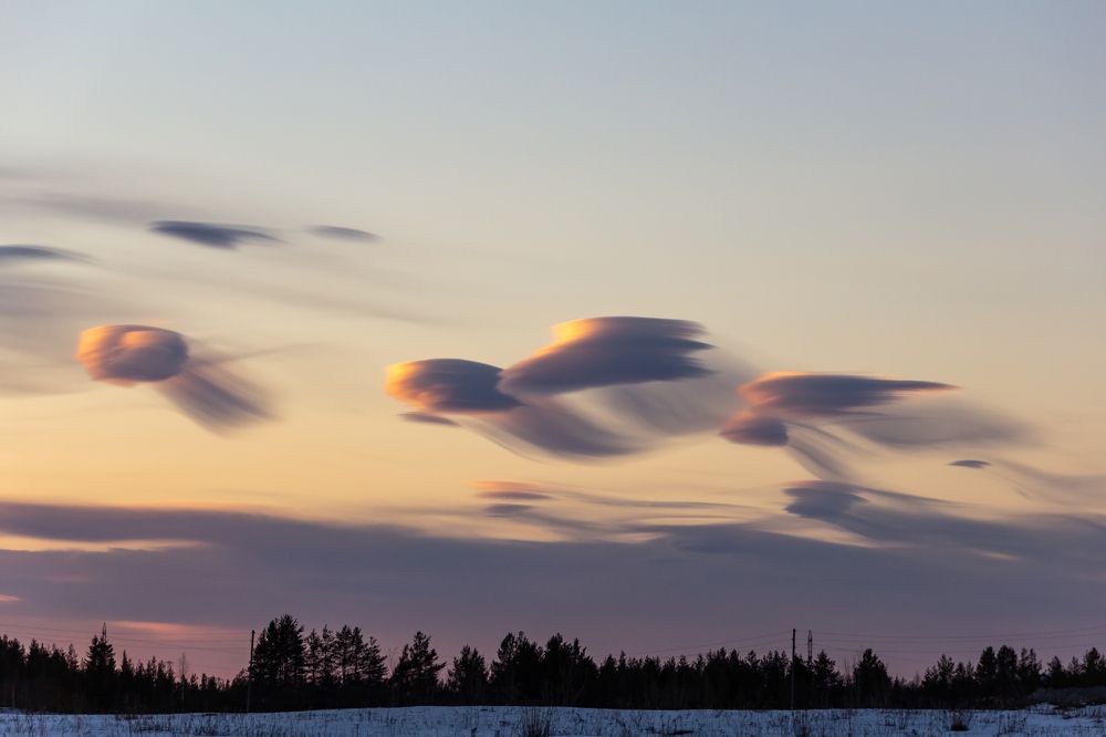 Они прилетели!)