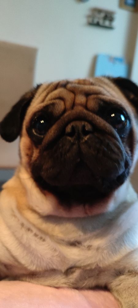 Photograph by Максим Чибисов