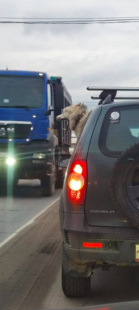 Photograph by Максим Чибисов