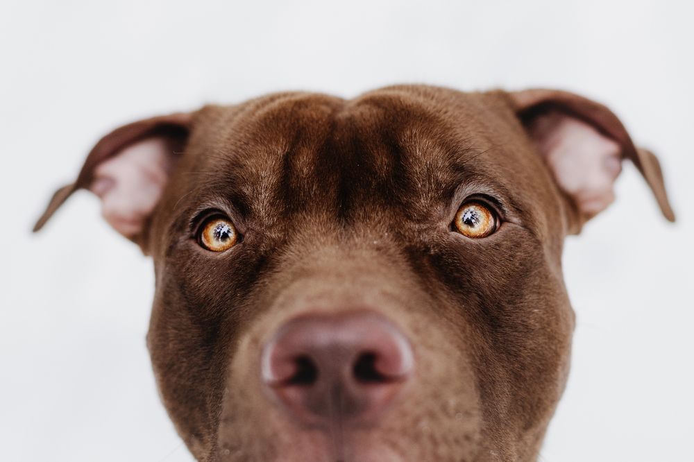 Photograph by Елена Левина