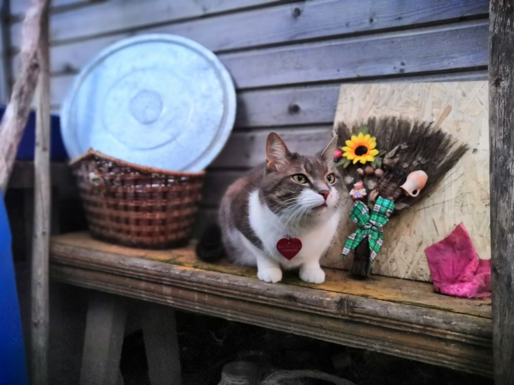 Photograph by Галина Андреева