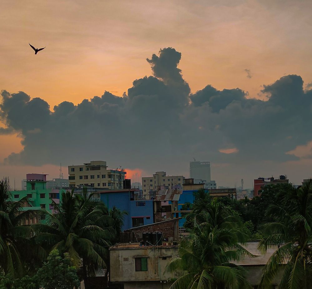 Boy with a Hat Watching a flying Bird