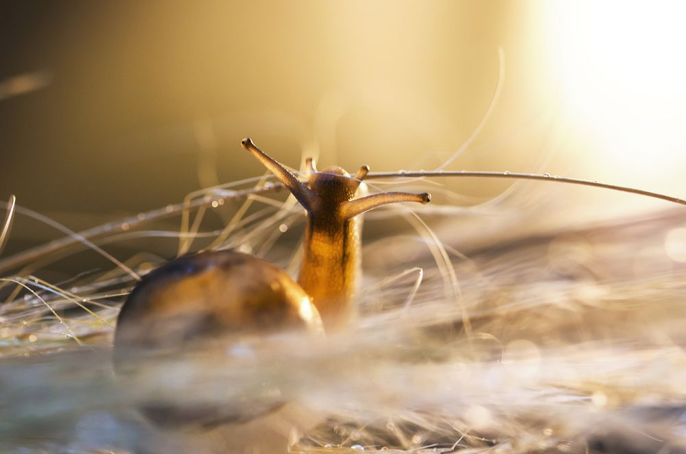 Photograph by Violeta Pas