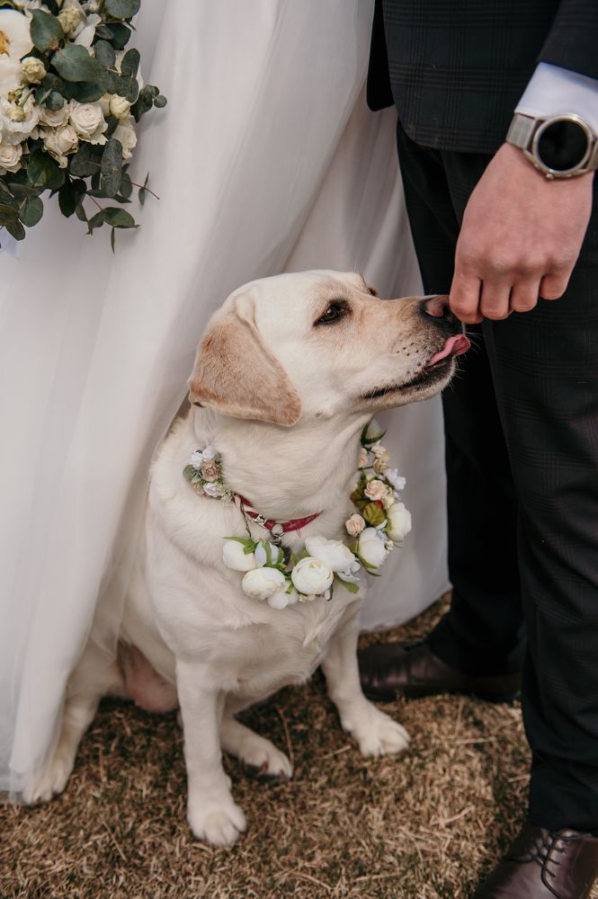 Photograph by Евгения Тимощенко