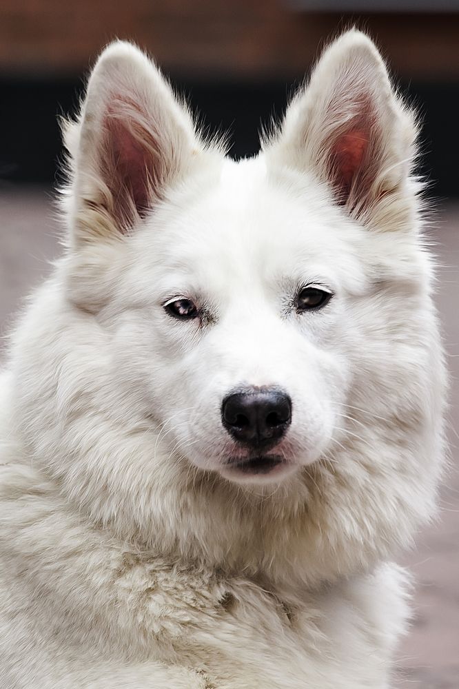 Photograph by Марина