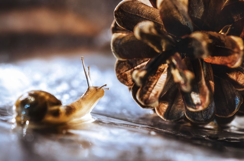 Photograph by Violeta Pas