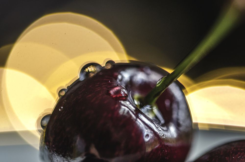 Photograph by Violeta Pas