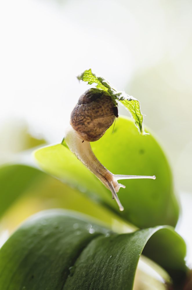 Photograph by Violeta Pas