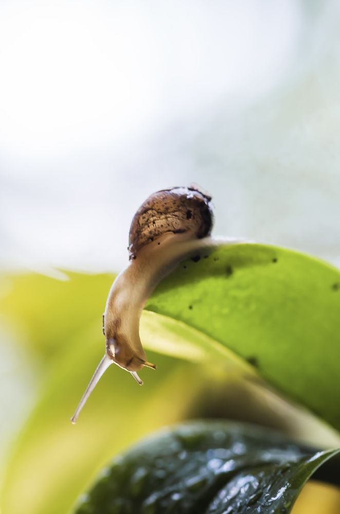 Photograph by Violeta Pas