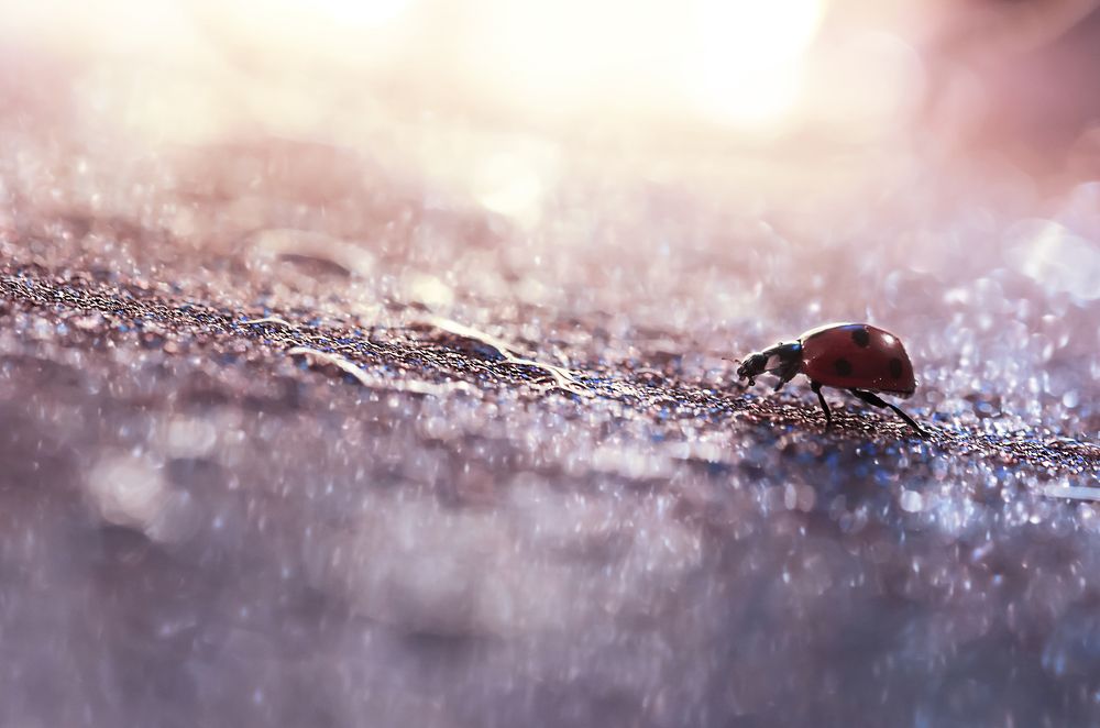 Photograph by Violeta Pas