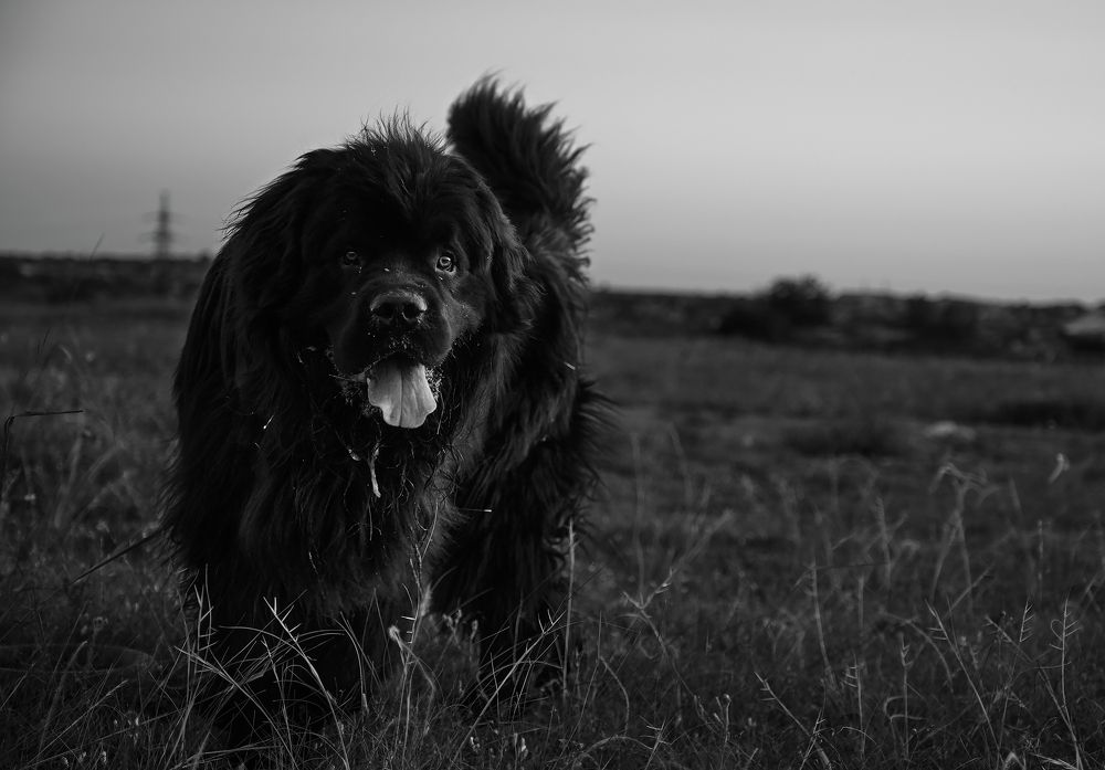 Photograph by Дмитрий Селинский