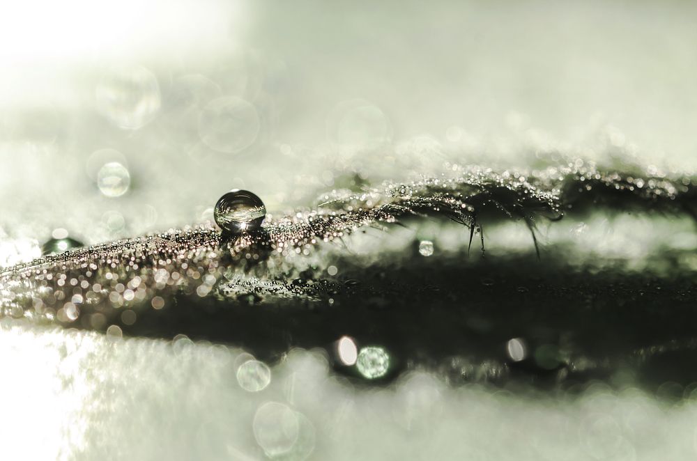 Photograph by Violeta Pas