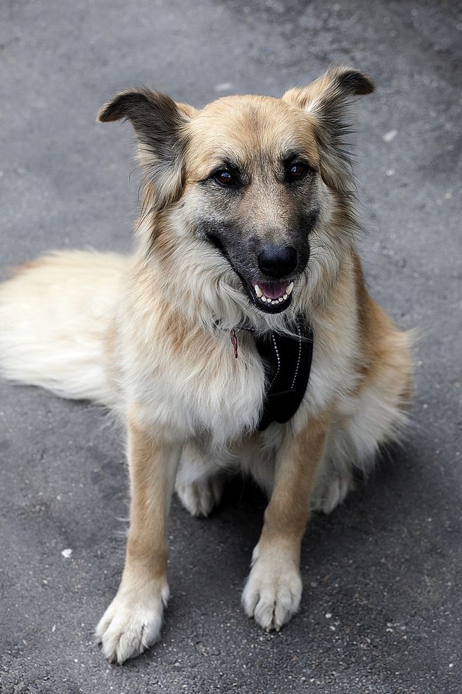 Photograph by Марина