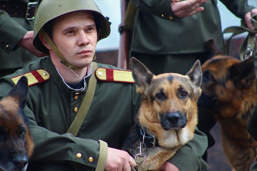 Photograph by Александр Дурасов