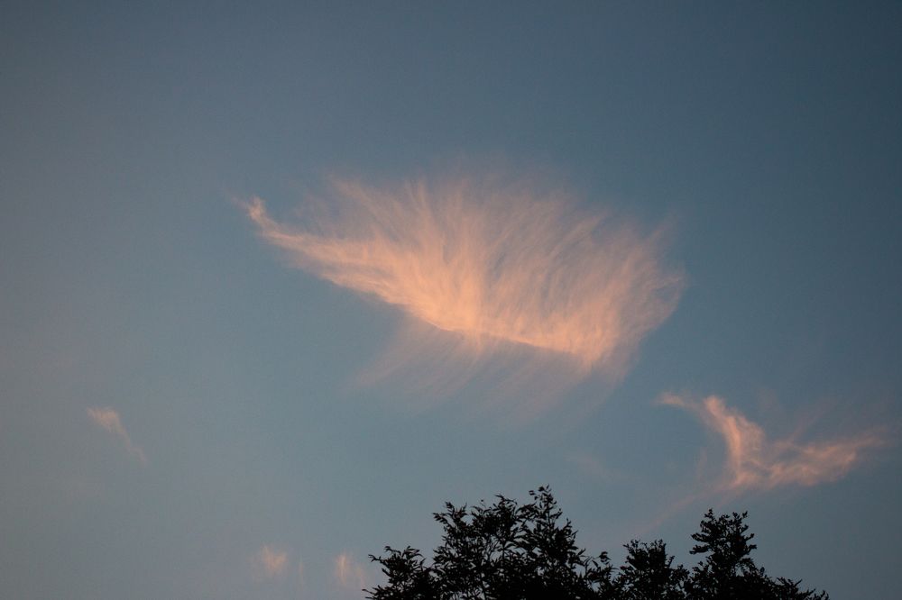 Photograph by Максим Буц