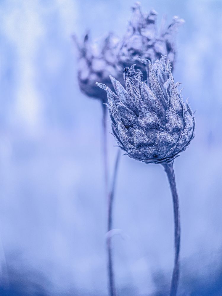 Photograph by Анна Кабиева