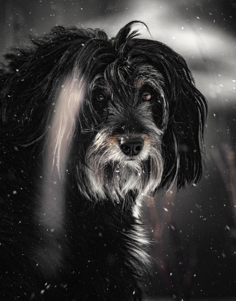 Photograph by igor kostin