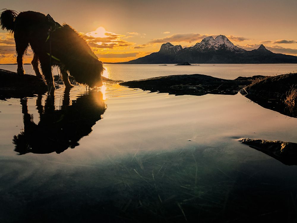 Photograph by igor kostin