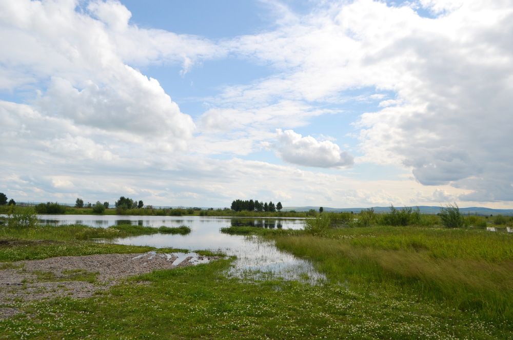 Photograph by Anna Kichapina