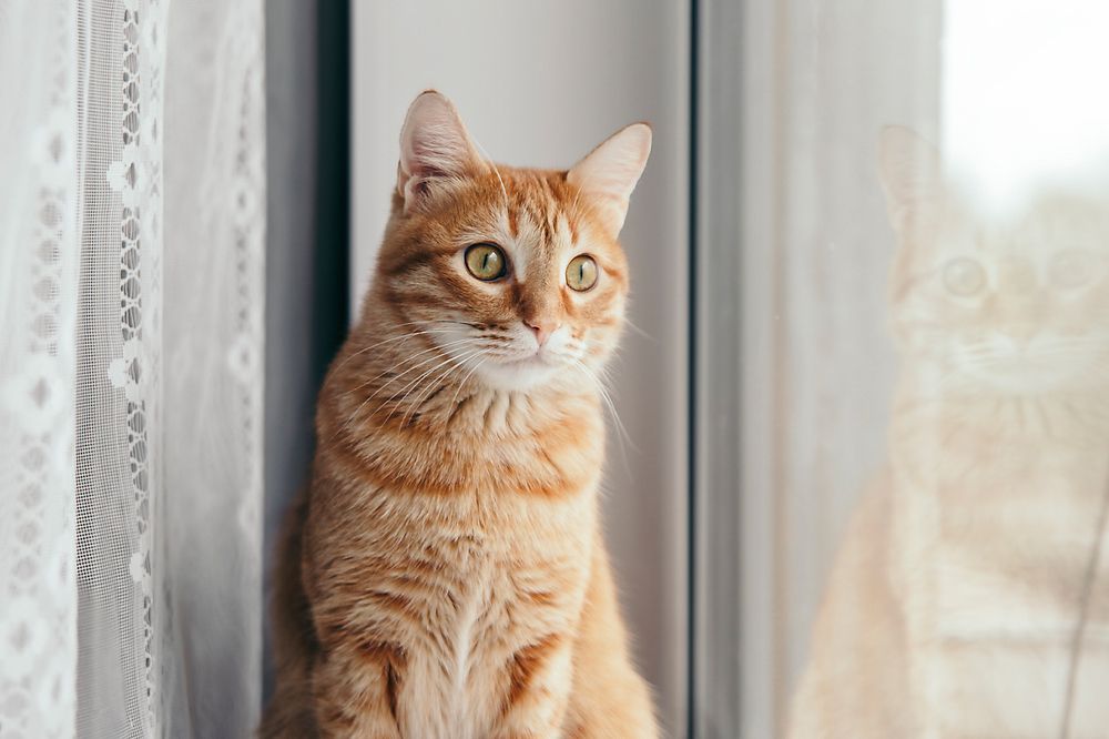 Photograph by Евгений Пивкин