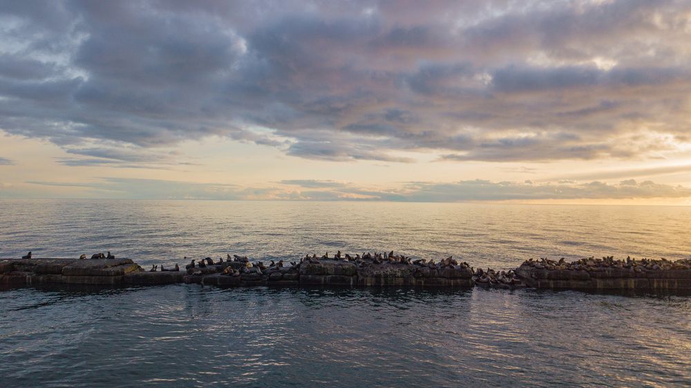Фотография автора Маргарита Басова